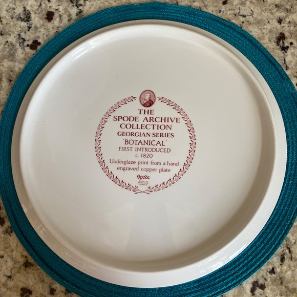 SPODE Archive Collection Georgian Series "Botanicals" Display Plate Collectible - Picture 5 of 6